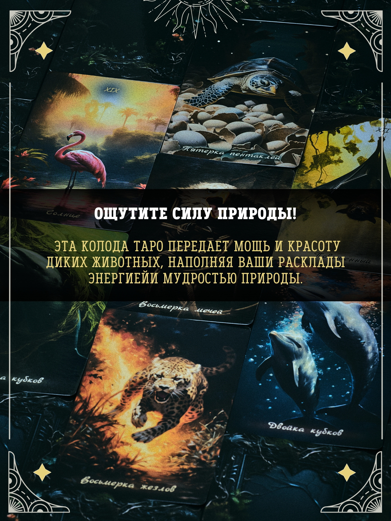 Колода карт ТАРО «Дикие животные» Колода карт ТАРО «Дикие животные»